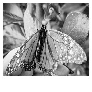 Meet your Posher, Trudy